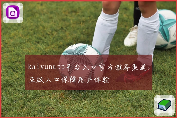 kaiyunapp平台入口官方推荐渠道，正版入口保障用户体验